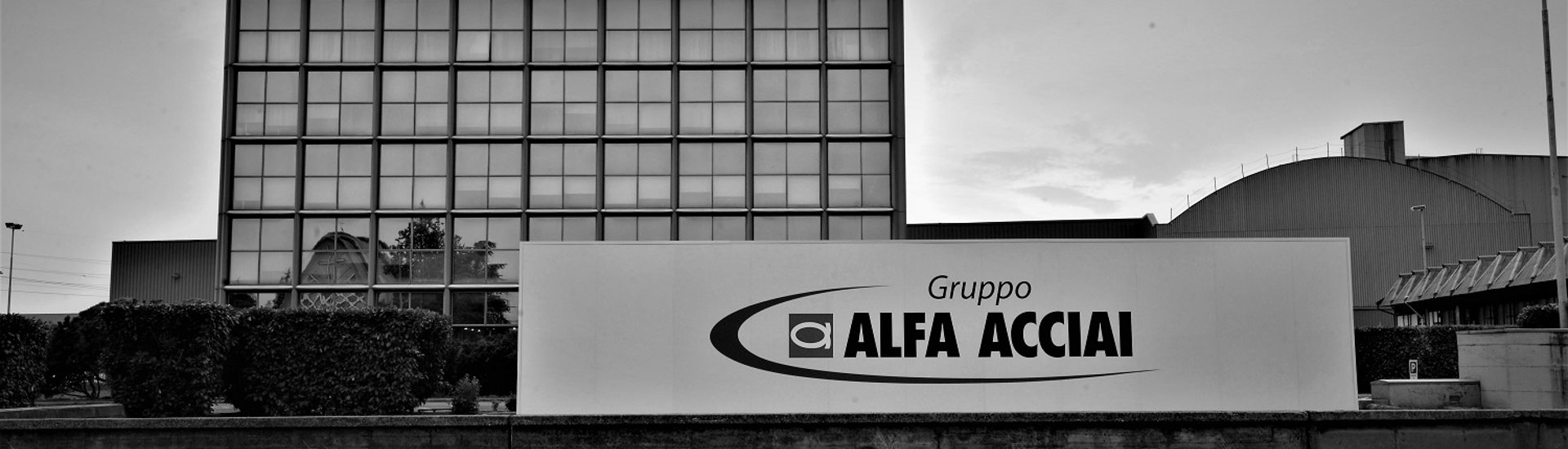 Alfa Acciai Group Companies